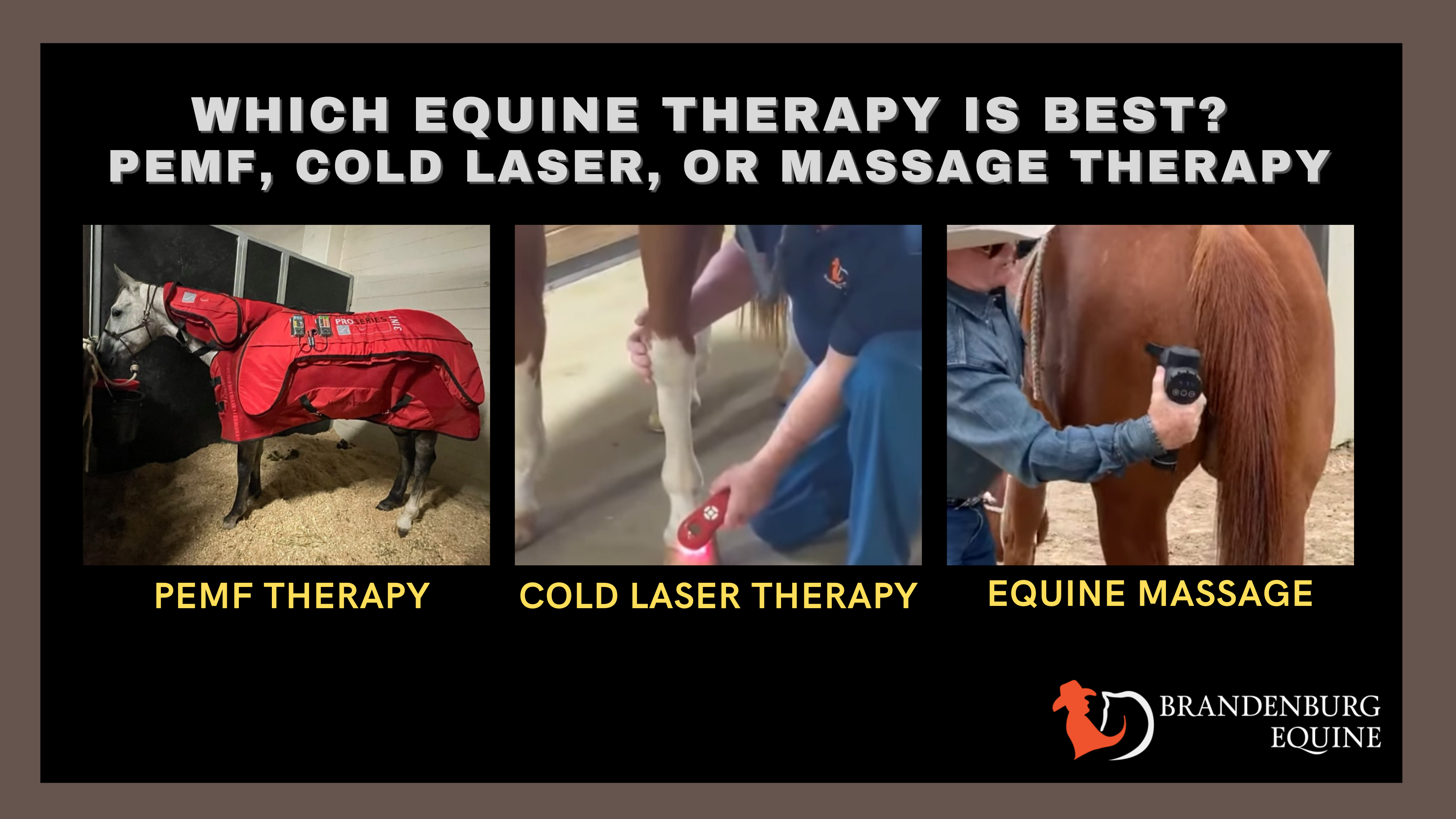 Revolutionize Equine Health with the OMI PEMF Horse Front Leg Wrap